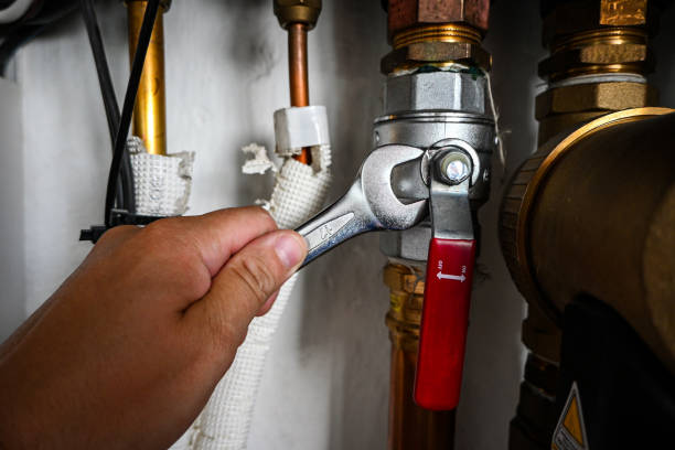 Best Affordable Plumbing Services  in Waukon, IA
